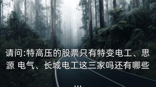 請問:特高壓的股票只有特變電工、思源 電氣、長城電工這三家嗎還有哪些...