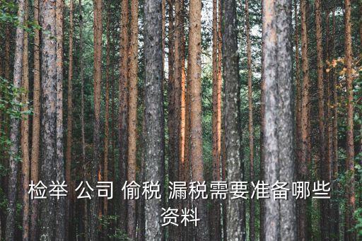 告公司偷稅漏稅,員工去稅務局告公司偷稅漏稅