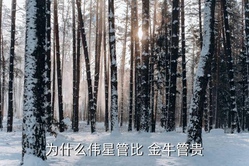 重慶市金牛置業(yè)有限公司,河南金牛置業(yè)有限公司開發(fā)過(guò)哪些項(xiàng)目