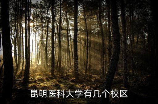 昆明醫(yī)科大學有幾個校區(qū)