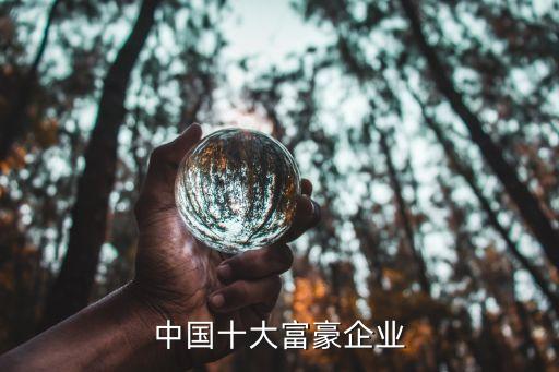 中國(guó)財(cái)公司排行榜2016,中國(guó)公司排行榜前十名