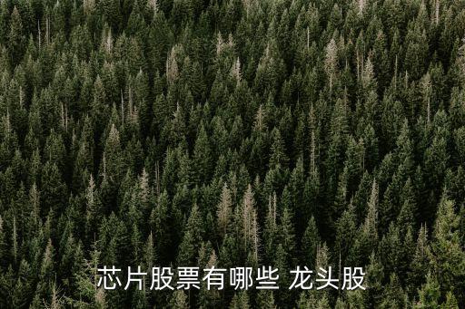 上?？苿?chuàng)中心概念龍頭股,力合科創(chuàng)算力概念龍頭股