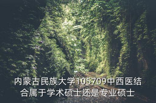 內(nèi)蒙古民族大學105709中西醫(yī)結(jié)合屬于學術(shù)碩士還是專業(yè)碩士
