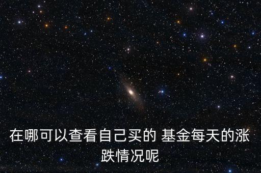 長(zhǎng)成品牌基金凈值查詢(xún),050009基金今天凈值查詢(xún)