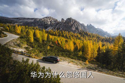 華為為什么忽悠國(guó)人