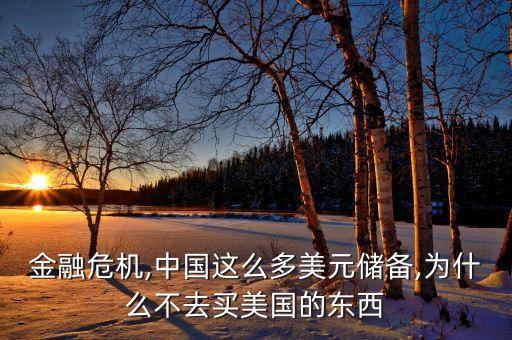 金融危機(jī),中國(guó)這么多美元儲(chǔ)備,為什么不去買美國(guó)的東西