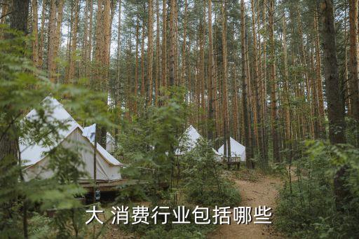 2016中國年中國消費最多行業(yè)