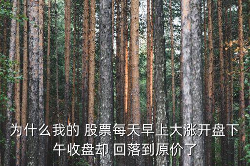 為什么我的 股票每天早上大漲開盤下午收盤卻 回落到原價(jià)了