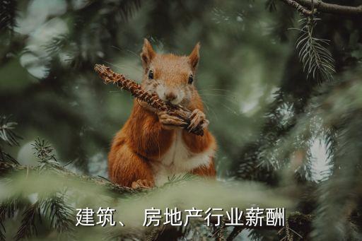 建筑、 房地產(chǎn)行業(yè)薪酬
