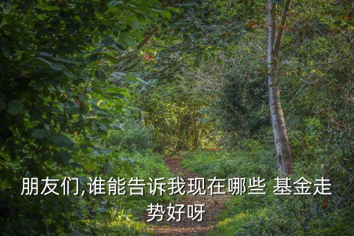 那個基金好呀,基金A與C的費用那個高?