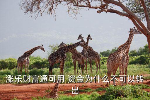 漲樂(lè)財(cái)富通可用 資金為什么不可以轉(zhuǎn)出