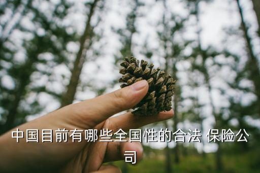 中國目前有哪些全國性的合法 保險公司