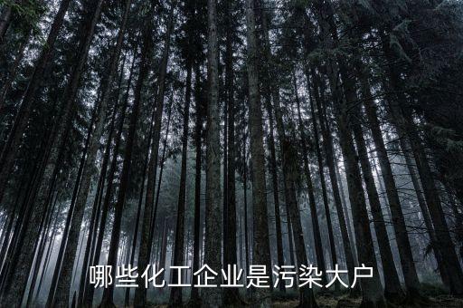 海南正和實業(yè)集團(tuán)股份有限公司,海南太平洋石油實業(yè)股份有限公司