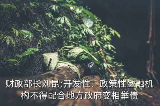 財(cái)政部長(zhǎng)劉昆:開發(fā)性、政策性金融機(jī)構(gòu)不得配合地方政府變相舉債