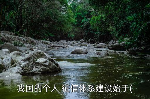 我國的個人 征信體系建設始于(