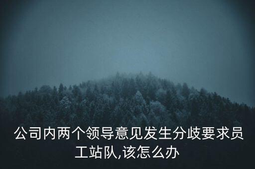  公司內(nèi)兩個領(lǐng)導意見發(fā)生分歧要求員工站隊,該怎么辦