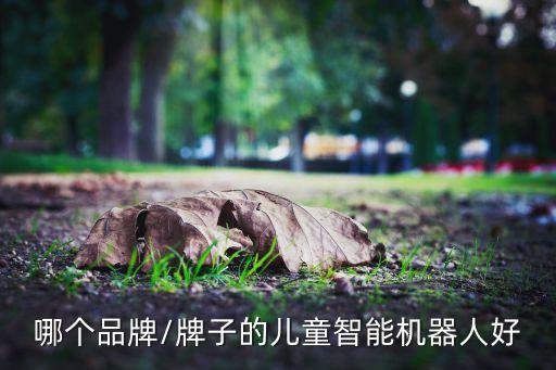 哪個(gè)品牌/牌子的兒童智能機(jī)器人好