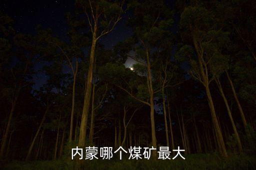 內(nèi)蒙哪個煤礦最大