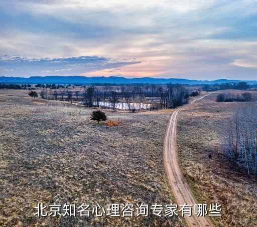 北京知名心理咨詢專(zhuān)家有哪些