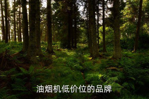 油煙機(jī)低價(jià)位的品牌