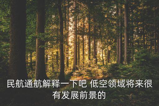 民航通航解釋一下吧 低空領域將來很有發(fā)展前景的