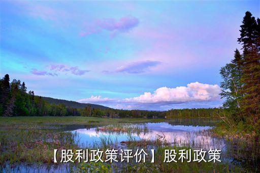 【股利政策評價(jià)】股利政策
