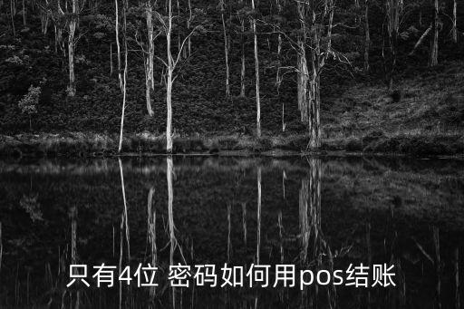 只有4位 密碼如何用pos結賬