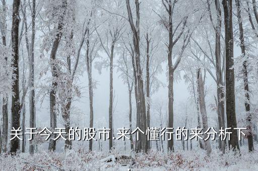 關(guān)于今天的股市.來個(gè)懂行的來分析下.