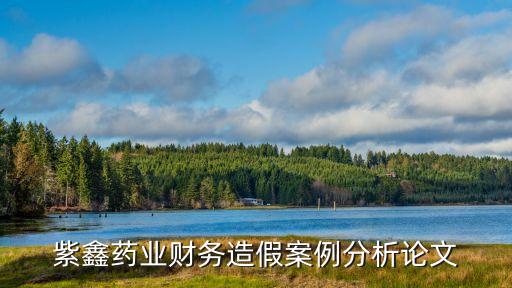 紫鑫藥業(yè)財務造假案例分析論文