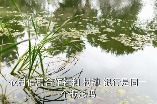 農村信用合作社和 村鎮(zhèn) 銀行是同一個概念嗎