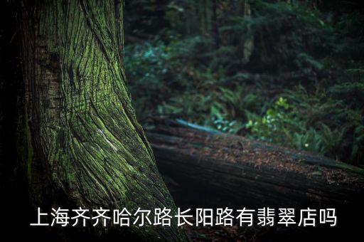  上海齊齊哈爾路長(zhǎng)陽路有翡翠店嗎