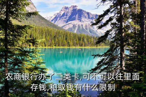 農(nóng)商銀行辦了二類卡,可不可以往里面存錢(qián),和取錢(qián)有什么限制