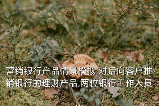 營(yíng)銷(xiāo)銀行產(chǎn)品情景模擬 對(duì)話向客戶(hù)推銷(xiāo)銀行的理財(cái)產(chǎn)品,兩位銀行工作人員...