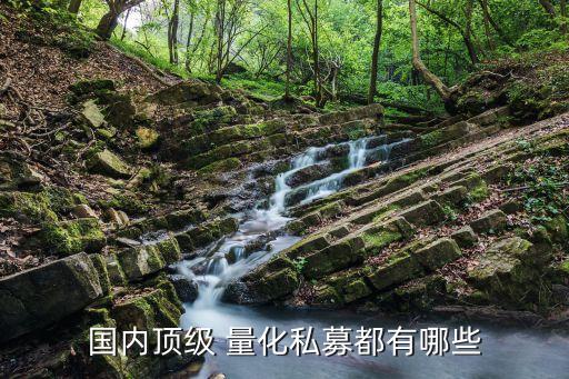 國內頂級 量化私募都有哪些