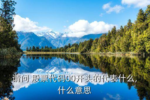 請(qǐng)問(wèn) 股票代碼00開頭的代表什么,什么意思