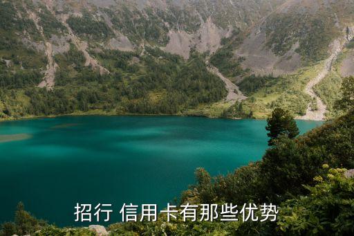 招商銀行信用卡盈利分析