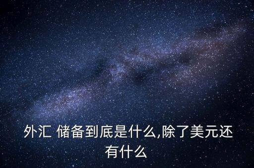  外匯 儲(chǔ)備到底是什么,除了美元還有什么