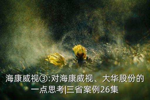 海康威視③:對?？低?、大華股份的一點思考|三省案例26集