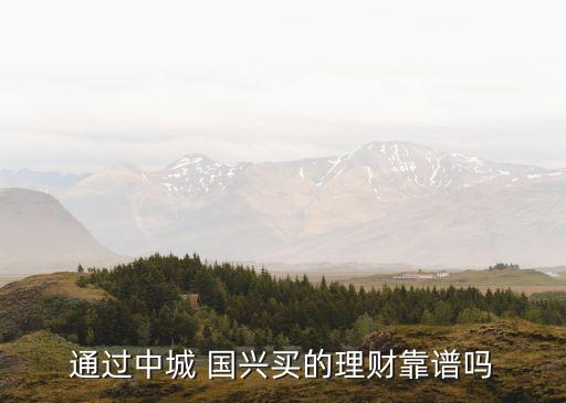 通過中城 國興買的理財(cái)靠譜嗎