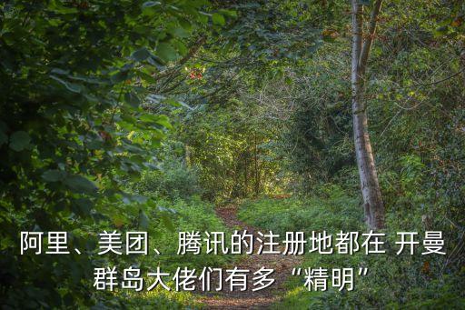 阿里、美團、騰訊的注冊地都在 開曼群島大佬們有多“精明”