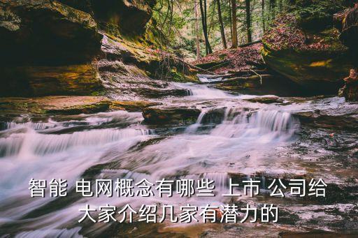 電網(wǎng)相關(guān)上市公司,電網(wǎng)上市公司2021年職工平均年薪多少萬(wàn)元