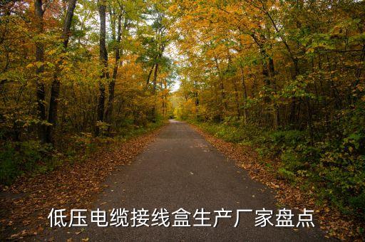 低壓電纜接線盒生產(chǎn)廠家盤點(diǎn)