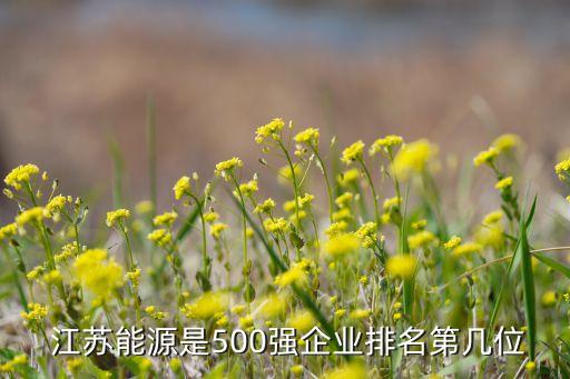  江蘇能源是500強(qiáng)企業(yè)排名第幾位