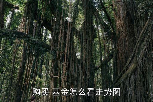 購(gòu)買 基金怎么看走勢(shì)圖