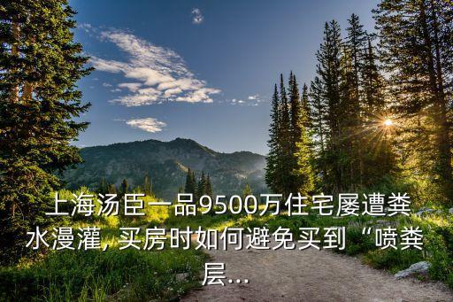  上海湯臣一品9500萬(wàn)住宅屢遭糞水漫灌, 買(mǎi)房時(shí)如何避免買(mǎi)到“噴糞層...