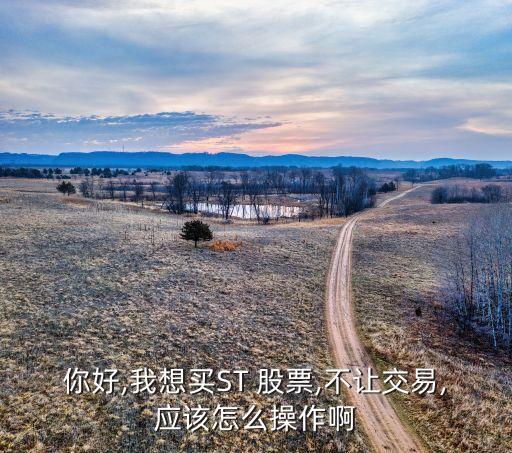 你好,我想買(mǎi)ST 股票,不讓交易,應(yīng)該怎么操作啊