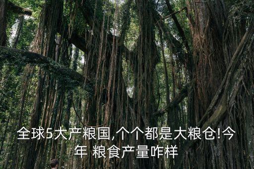 全球5大產(chǎn)糧國,個個都是大糧倉!今年 糧食產(chǎn)量咋樣