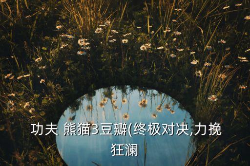  功夫 熊貓3豆瓣(終極對決,力挽狂瀾