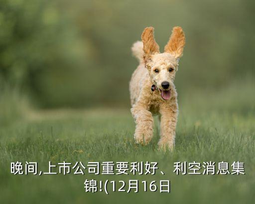 晚間,上市公司重要利好、利空消息集錦!(12月16日