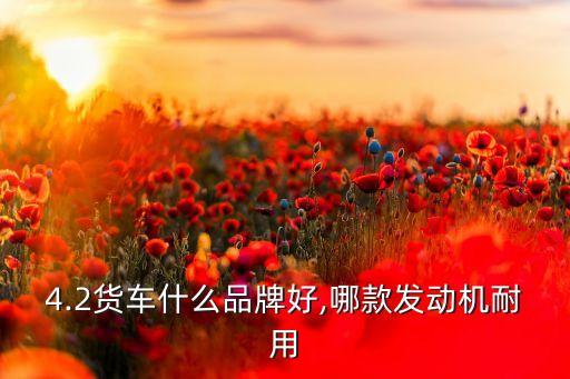 石家莊天同輕型汽車(chē)有限公司,重汽(重慶)輕型汽車(chē)有限公司